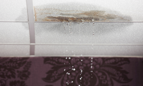 Plumber Surrey Hills